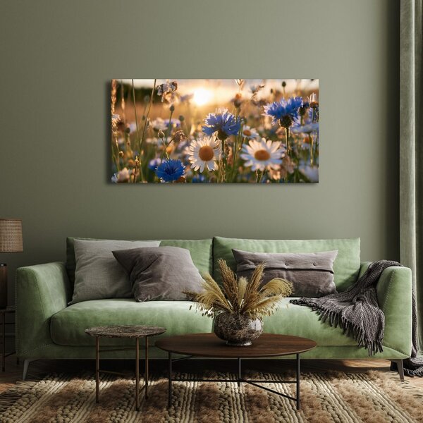 Quadro su tela – Prato estivo nella luce dorata