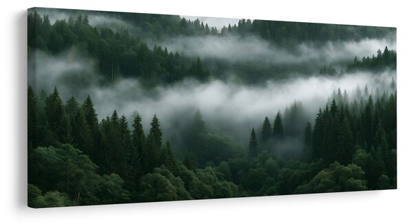 Quadro su tela – Valle verde avvolta nella nebbia