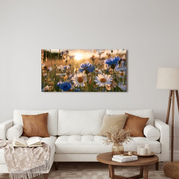 Quadro su tela – Prato estivo nella luce dorata