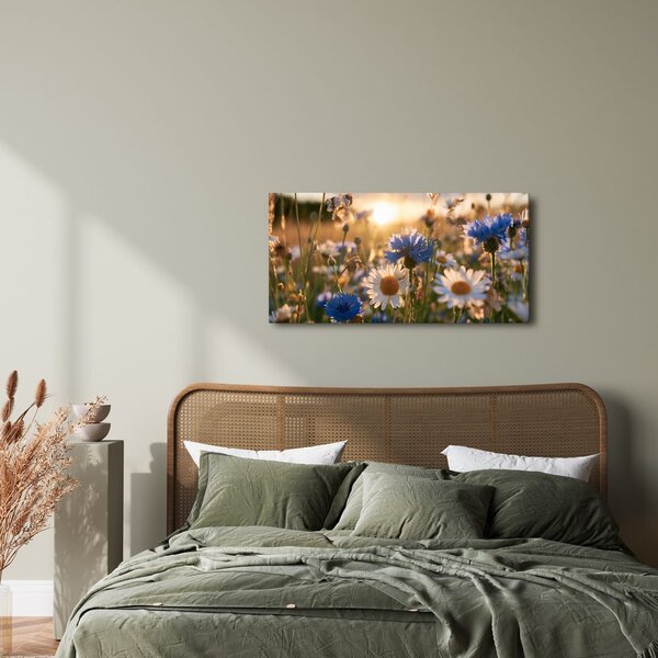 Quadro su tela – Prato estivo nella luce dorata