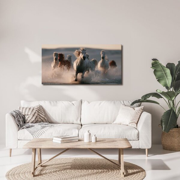 Quadro su tela – Branco di cavalli al galoppo