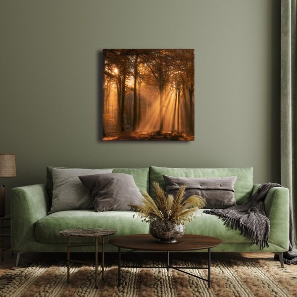 Quadro su tela – Sole tra gli alberi