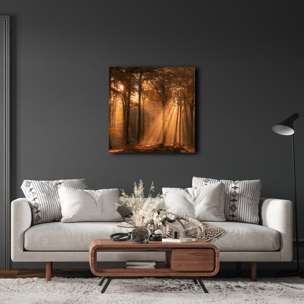 Quadro su tela – Sole tra gli alberi