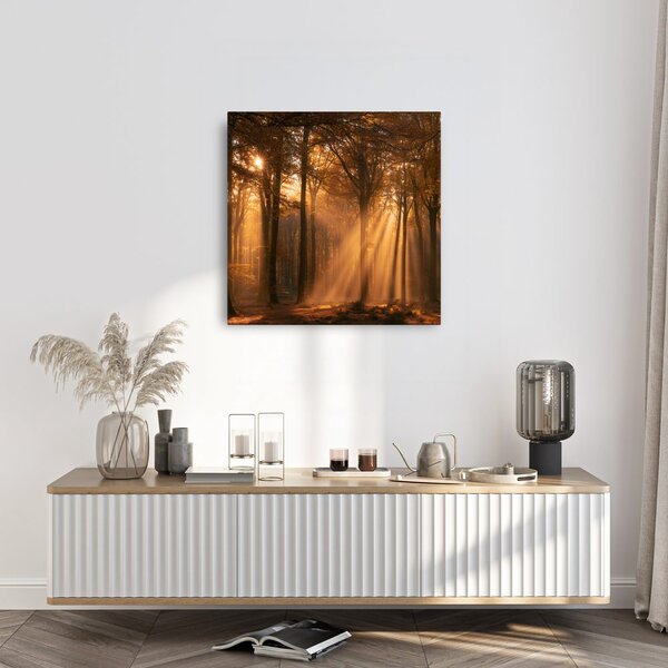 Quadro su tela – Sole tra gli alberi