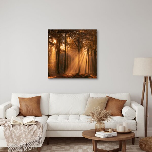 Quadro su tela – Sole tra gli alberi