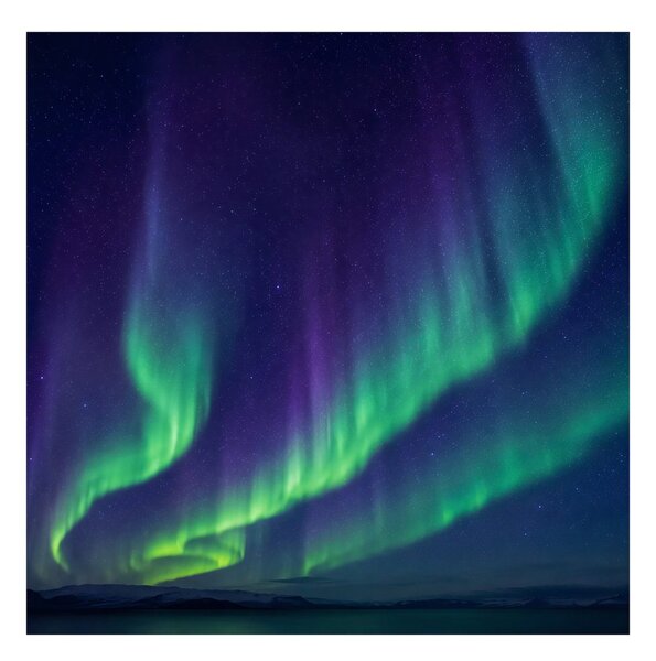 Quadro su tela – Danza dell’aurora boreale nella notte