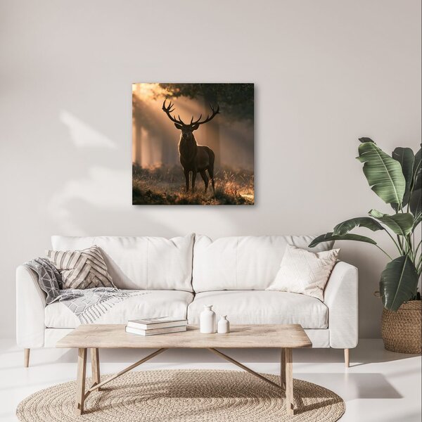Quadro su tela – Cervo tra i raggi del bosco