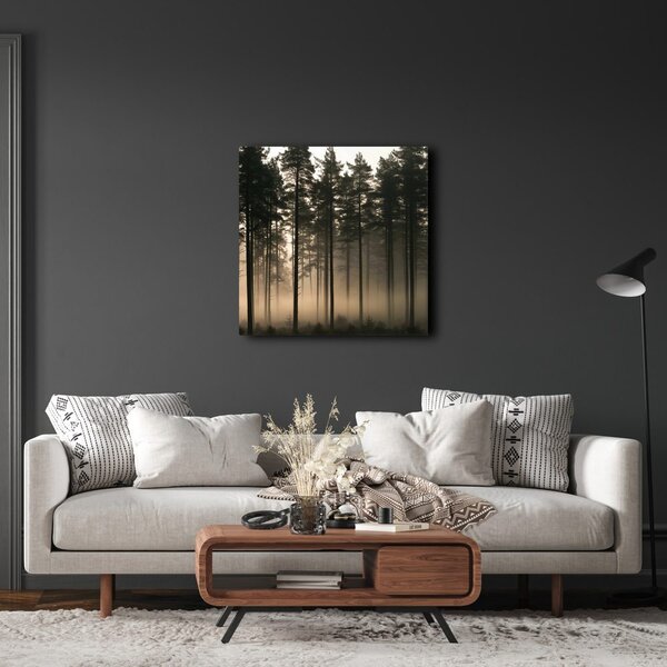 Quadro su tela – Sagome di alberi nella foschia