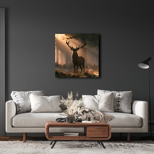 Quadro su tela – Cervo tra i raggi del bosco