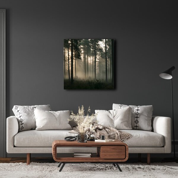 Quadro su tela – Bosco misterioso nella nebbia leggera