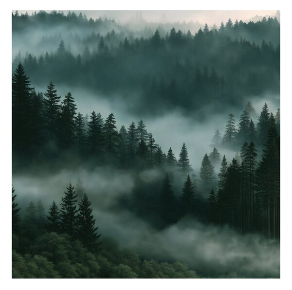 Quadro su tela – Foresta oscura avvolta dalla nebbia