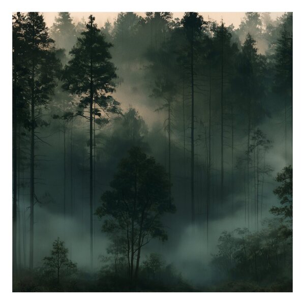 Quadro su tela – Foresta di conifere nella nebbia