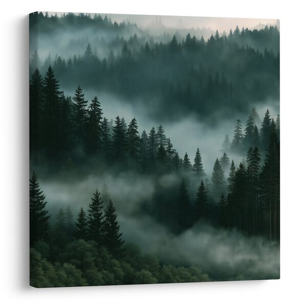 Quadro su tela – Foresta oscura avvolta dalla nebbia