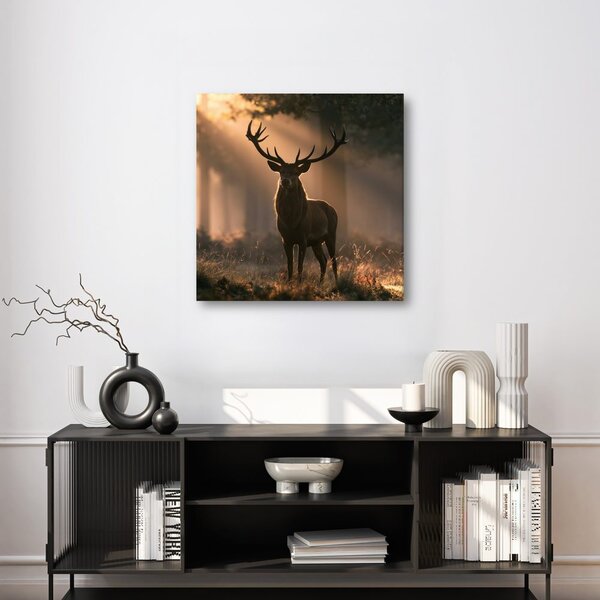 Quadro su tela – Cervo tra i raggi del bosco