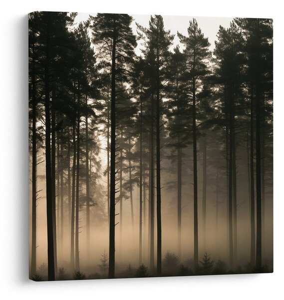 Quadro su tela – Sagome di alberi nella foschia
