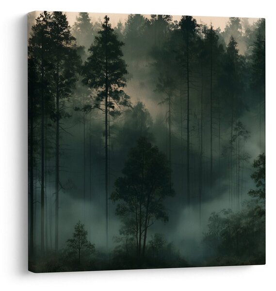 Quadro su tela – Foresta di conifere nella nebbia