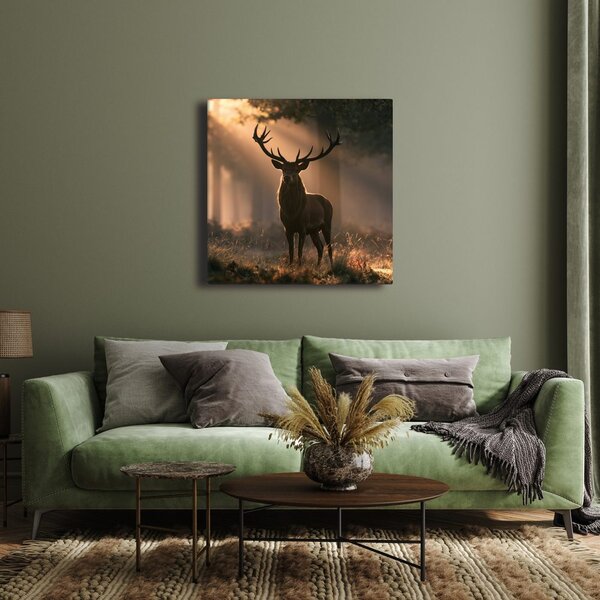 Quadro su tela – Cervo tra i raggi del bosco