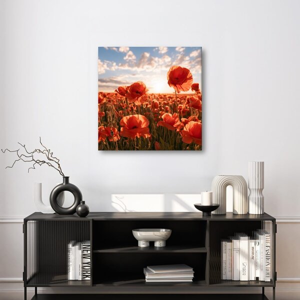Quadro su tela – Campo di papaveri in fiore