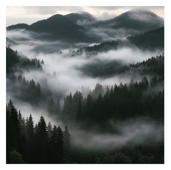 Quadro su tela – Montagne scure sopra la nebbia del bosco