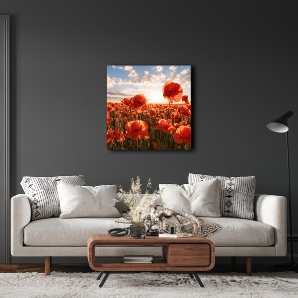 Quadro su tela – Campo di papaveri in fiore