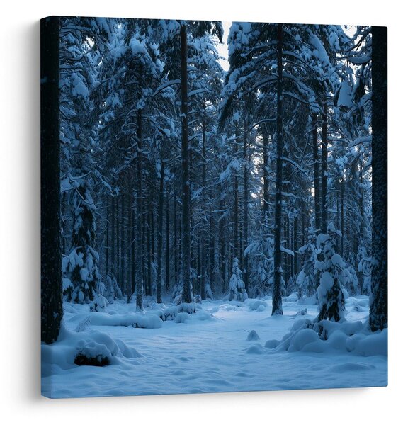 Quadro su tela – Bosco innevato nella luce blu del crepuscolo