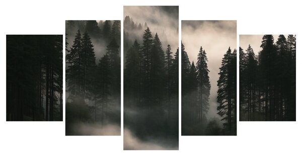 Quadri 5 pezzi – Foresta di conifere nella nebbia