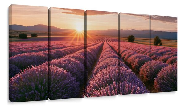 Quadri 5 pezzi – Campo di lavanda al tramonto