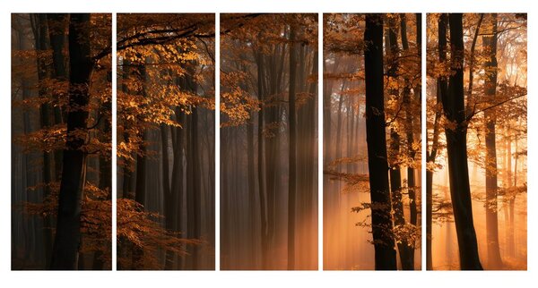Quadri 5 pezzi – Bosco autunnale nella nebbia