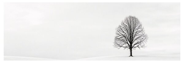 Quadro su tela – Silenzioso albero della vita nella pianura