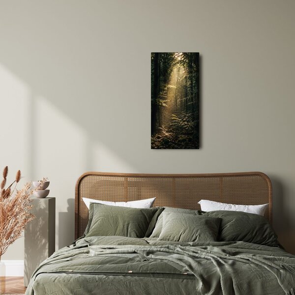 Quadro su tela – Bosco silenzioso nella luce del mattino