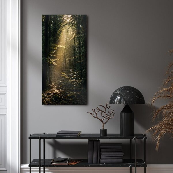 Quadro su tela – Bosco silenzioso nella luce del mattino