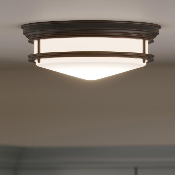 Hinkley HK-HADLEY-F-OZ - Plafoniera per bagno HADLEY, 3xE27/40W/230V IP44, bronzo
