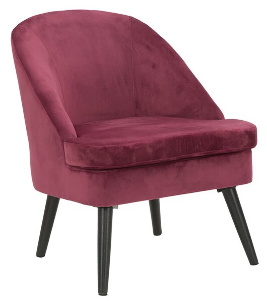 Poltrona Paris Bordeaux 59x67x75,5 cm Legno Spugna e Velluto Sintetico Bordeaux e Nero