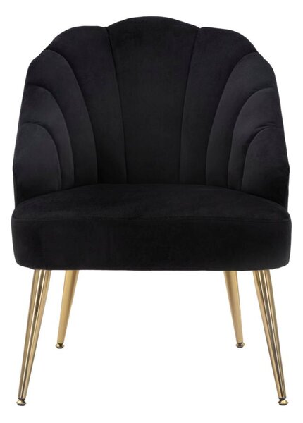 Poltrona Shell Nera 65x69x84 cm in Legno Spugna Poliestere e Acciaio Nero e Oro