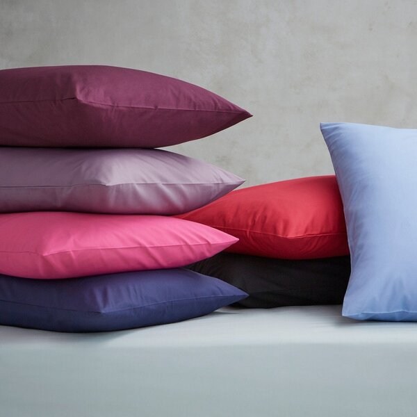 Lenzuolo con angoli marrone chiaro in percalle 90x190 cm Easy Iron Percale – Catherine Lansfield