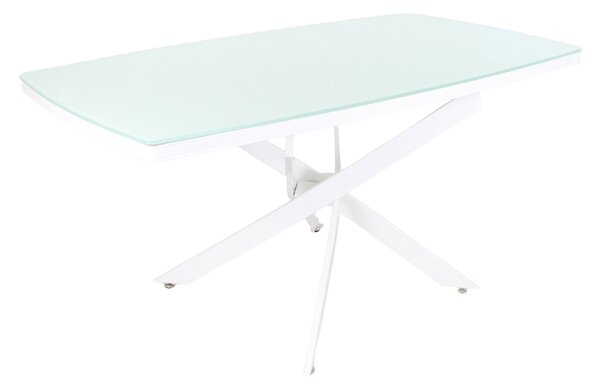Tavolo da Pranzo 160x79x90 cm in Vetro Temperato