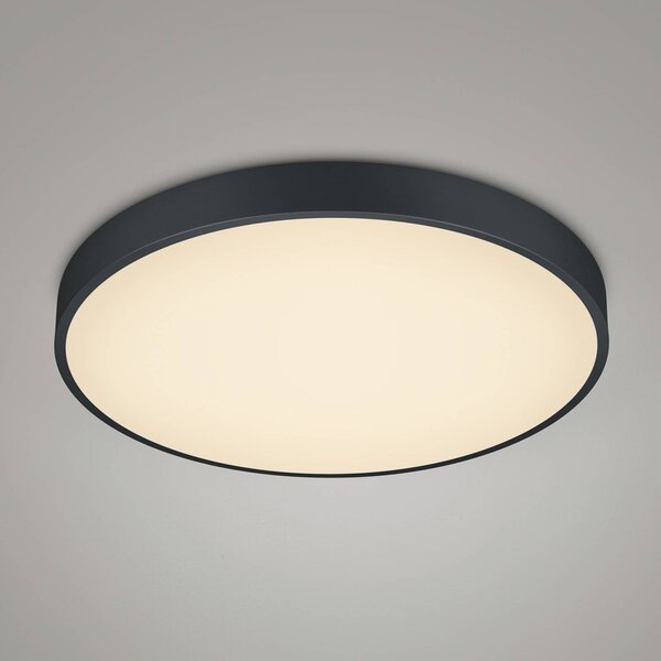 Trio Lighting Plafoniera a LED Waco, dimmerabile, Nero, Soggiorno / Sala da pranzo, Metallo, Plafoniera LED