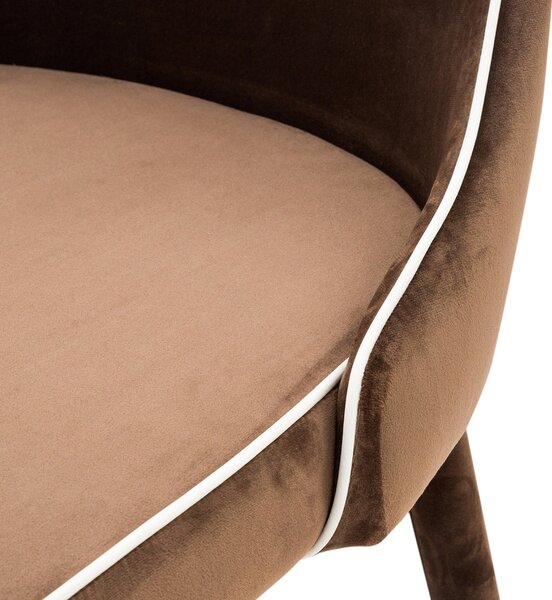 Sedia Imbottita 47x57x88 cm in Tessuto Vellutato New Plana Plus Cappuccino