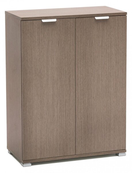 Armadietto 2 Ante 60x38x85 h cm in Truciolare bilaminato Rovere grigio