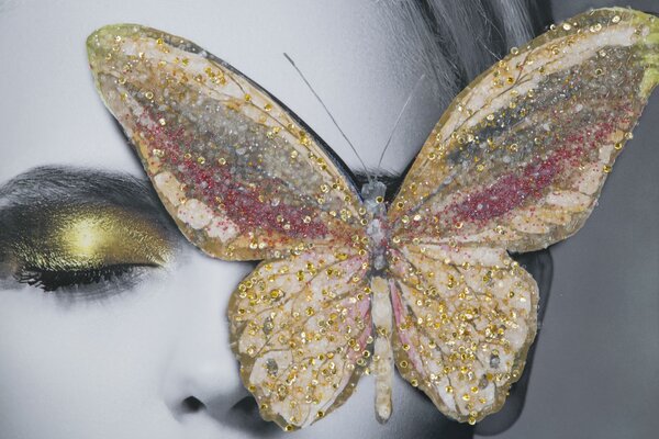 Stampa su Tela con Applicazioni Butterly 80x3,8x120 cm in Legno e canvas