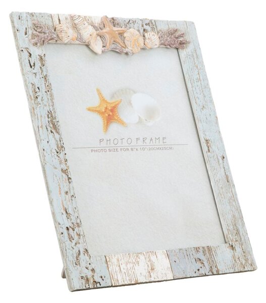 Cornice Shell 25,5x2,3x31,5 cm in Poliresina