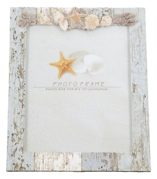 Cornice Shell 25,5x2,3x31,5 cm in Poliresina