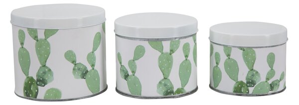 Cofanetti in Latta Cactus Set 3 Pz Ø15x13,5-14x11,5-12,5x10 cm in Ferro Bianco, Verde