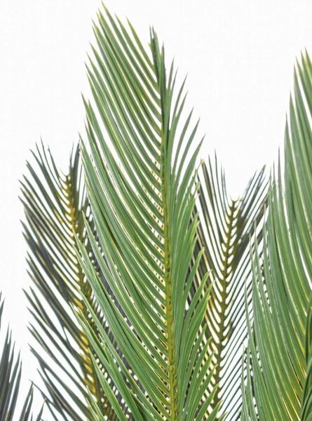 Pianta Artificiale Palma Cycas 28 Foglie H120 con Vaso Verde