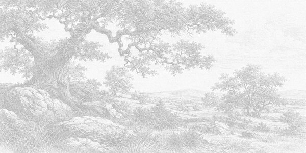 Carta da parati Disegno di un albero e di alcune rocce, Carta da parati Natura, Carta da parati popolare, t00970 - Tapeko.it