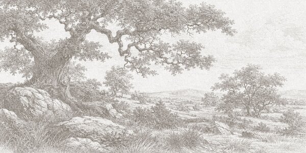 Carta da parati Disegno di un albero e di un paesaggio roccioso, Carta da parati Natura, Carta da parati popolare, t00970v1 - Tapeko.it