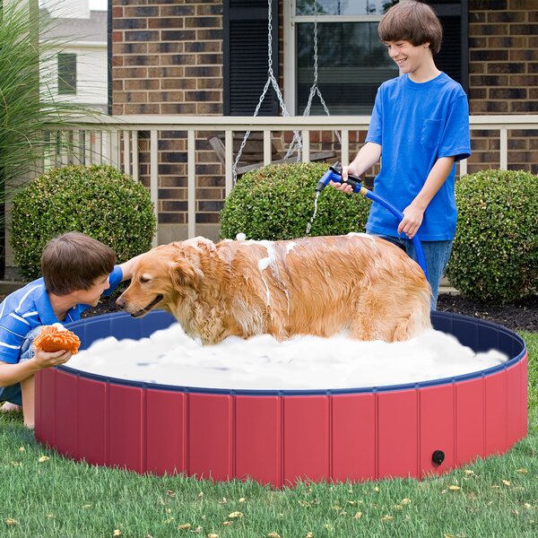 Piscina per Animali Domestici in Plastica Bordo Stabile Ø160x30 cm Rossa