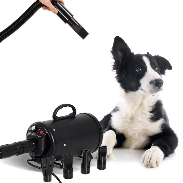 Phon per Animali Domestici 2400W Nero