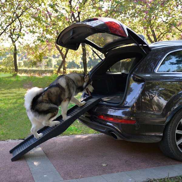 Rampa Auto per Cani Pieghevole in Plastica 152x43x4 cm