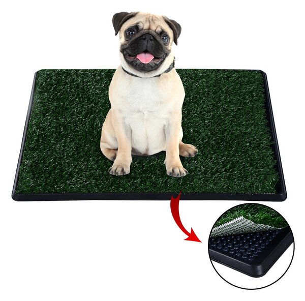 Lettiera per Cani con Erba Sintetica in Plastica PP 51x76x3 cm